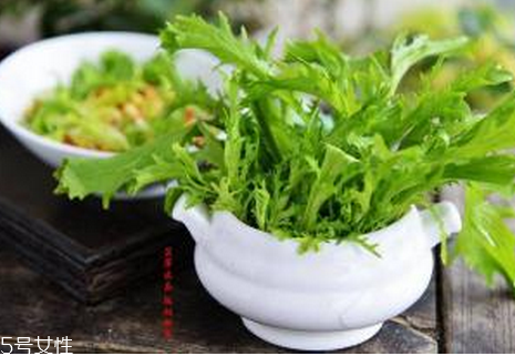 苦菊有哪些功效和作用？苦菊是屬于菊花的一種