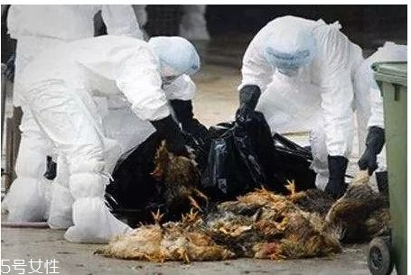 乙型流感病毒大概多少天能好？一周左右可恢復(fù)