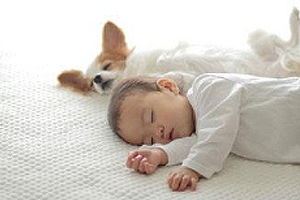 午間睡多久不會有害身體？或長或短都有益處