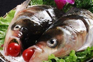 魚頭為什么會(huì)苦 可能是魚膽的原因 魚頭為什么會(huì)苦 可能是魚膽的原因