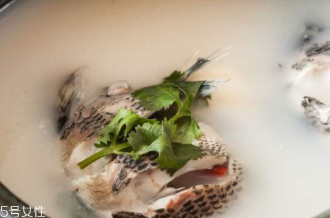 魚湯為什么要用油煎 教你幾招熬出乳白色魚湯 魚湯為什么要用油煎 教你幾招熬出乳白色魚湯