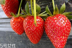 寶寶咳嗽可以吃草莓嗎？看是什么類型的咳嗽