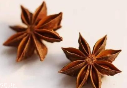 八角可以用什么代替 五香粉代替 八角可以用什么代替 五香粉代替