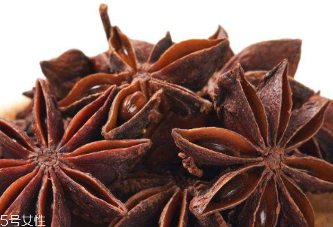 八角可以用什么代替 五香粉代替 八角可以用什么代替 五香粉代替