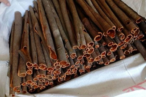 桂皮怎么保存 密封保存才行 桂皮怎么保存 密封保存才行