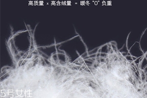 lets diet羽絨褲多少錢？lets diet羽絨褲保暖又修身