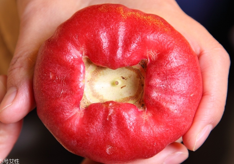 蓮霧怎么挑選 首選飽滿又紅潤(rùn)的蓮霧 蓮霧怎么挑選 首選飽滿又紅潤(rùn)的蓮霧