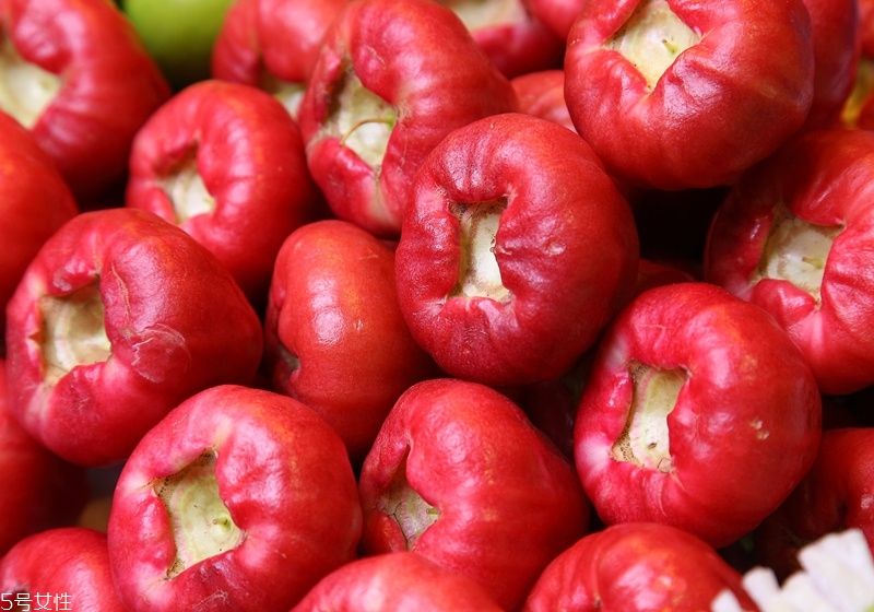 蓮霧怎么挑選 首選飽滿又紅潤(rùn)的蓮霧 蓮霧怎么挑選 首選飽滿又紅潤(rùn)的蓮霧