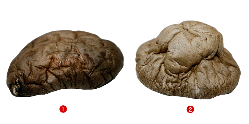 干香茹怎么挑選 4招挑出好品質(zhì) 干香茹怎么挑選 4招挑出好品質(zhì)