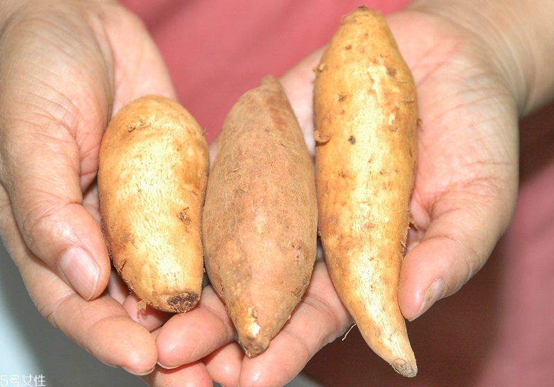 家用烤箱烤紅薯怎么烤 烤箱烤紅薯小技巧 家用烤箱烤紅薯怎么烤 烤箱烤紅薯小技巧