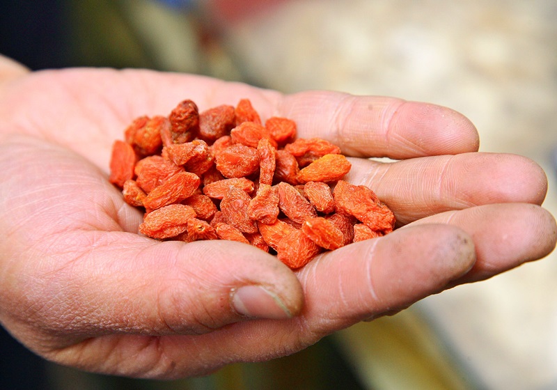 枸杞越大越好嗎 這樣挑選不會錯 枸杞越大越好嗎 這樣挑選不會錯