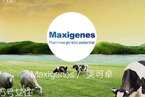 藍(lán)胖子奶粉適合什么人？成人可以喝嗎？