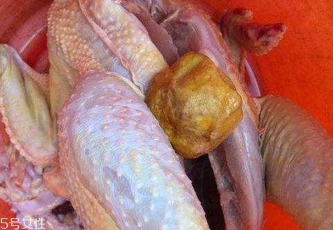 雞寶怎么保存 最佳保存方式 雞寶怎么保存 最佳保存方式