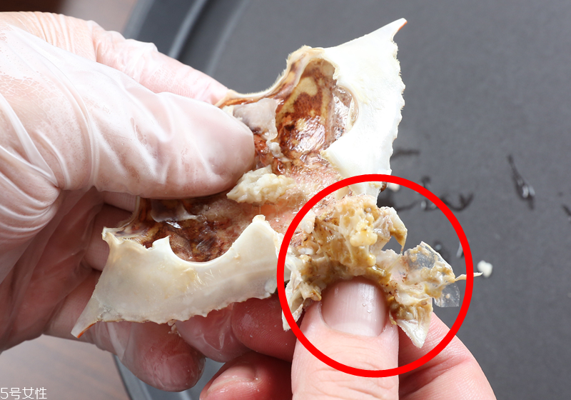 螃蟹怎么吃圖解 優(yōu)雅品嘗螃蟹 螃蟹怎么吃圖解 優(yōu)雅品嘗螃蟹