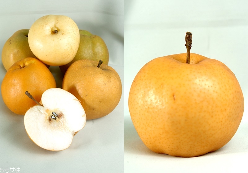 梨子怎么挑選 這樣的梨子最甜 梨子怎么挑選 這樣的梨子最甜