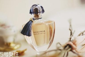 冬天香水噴在哪里最好？涂抹在耳后位置