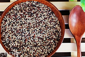 藜麥可以蒸米飯嗎？藜麥蒸米飯要泡嗎？