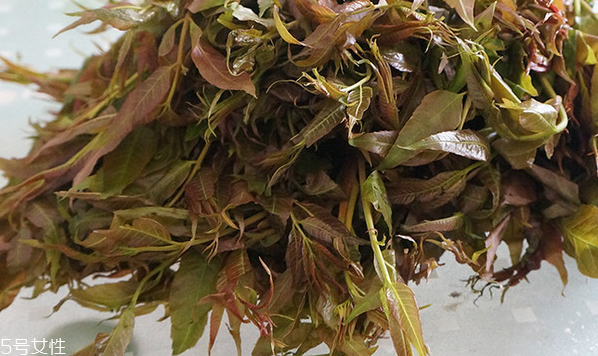 香椿水餃怎么做好吃？超詳細(xì)香椿豆腐餃子做法