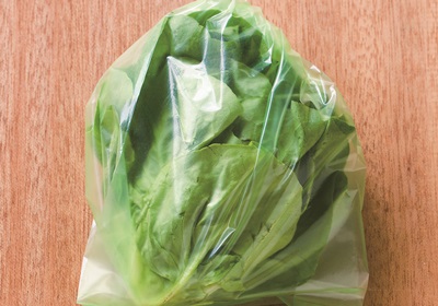 萵苣的品種介紹 萵苣是什么菜 萵苣的品種介紹 萵苣是什么菜