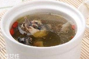 豬肚湯可以放當(dāng)歸嗎 豬肚湯可以放當(dāng)歸嗎