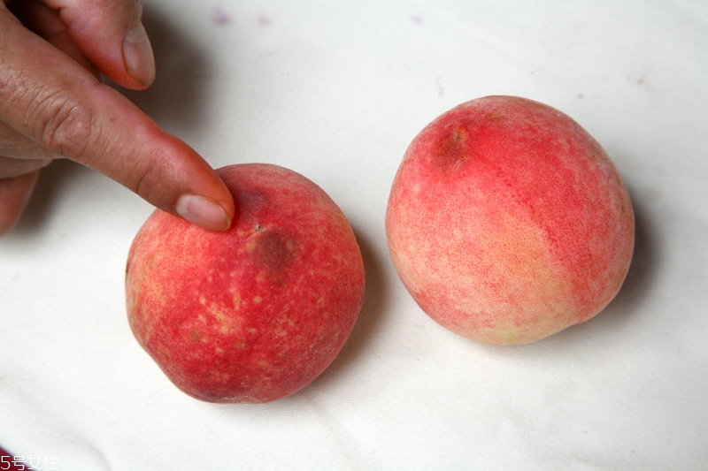 水蜜桃怎么保存時間長 水蜜桃的保存方法 水蜜桃怎么保存時間長 水蜜桃的保存方法