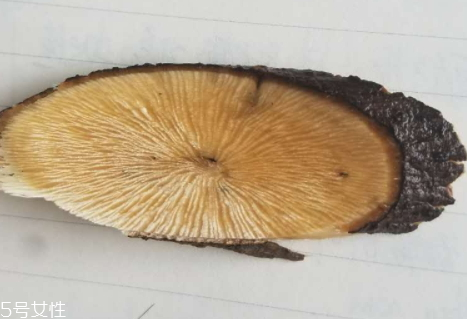 東革阿里怎么泡水 泡水功效 東革阿里怎么泡水 泡水功效