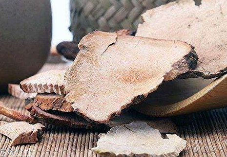 土茯苓可以治療宮頸糜爛嗎 土茯苓治子宮頸炎 土茯苓可以治療宮頸糜爛嗎 土茯苓治子宮頸炎