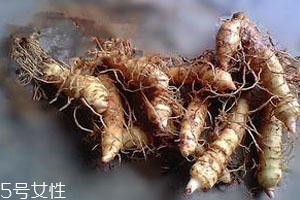 玉竹不能和什么一起吃 禁忌人群 玉竹不能和什么一起吃 禁忌人群