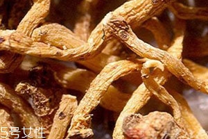 玉竹多少錢(qián)一斤 2018最新價(jià)格行情 玉竹多少錢(qián)一斤 2018最新價(jià)格行情