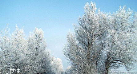 cmon遮陽(yáng)傘怎么樣 日本的遮陽(yáng)傘品牌 cmon遮陽(yáng)傘怎么樣 日本的遮陽(yáng)傘品牌