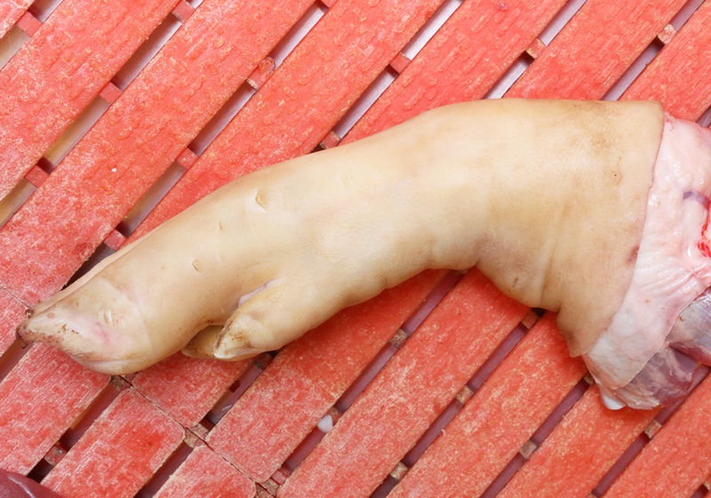 豬各部位肉的名稱圖片全解 豬各部位肉的名稱圖片全解