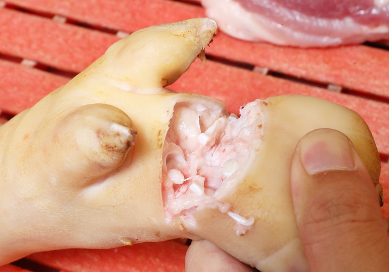 豬各部位肉的名稱圖片全解 豬各部位肉的名稱圖片全解