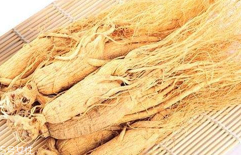 白參是涼性還是熱性 微苦性微溫 白參是涼性還是熱性 微苦性微溫