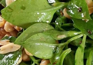 田七是熱性還是涼性 味甘微苦性溫 田七是熱性還是涼性 味甘微苦性溫