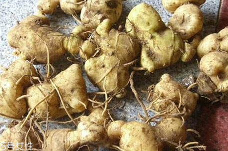 黃精什么時(shí)候采 春秋采收均可 黃精什么時(shí)候采 春秋采收均可