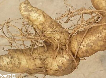 黃精怎么保存 保存方法 黃精怎么保存 保存方法