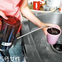 柚子籽怎么種小盆栽 柚子的子怎么種盆栽 柚子籽怎么種小盆栽 柚子的子怎么種盆栽