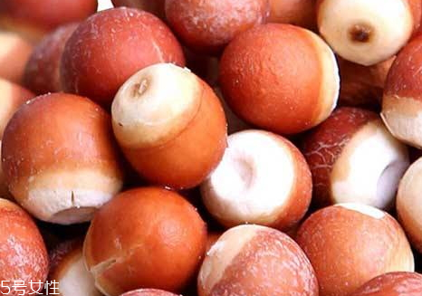 芡實(shí)什么時候收獲 采收季節(jié)為白露霜降之間 芡實(shí)什么時候收獲 采收季節(jié)為白露霜降之間