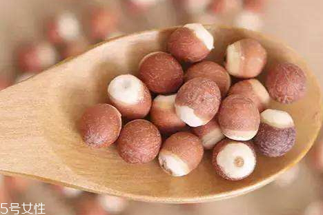 芡實(shí)什么時候收獲 采收季節(jié)為白露霜降之間 芡實(shí)什么時候收獲 采收季節(jié)為白露霜降之間