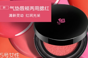 2018氣墊腮紅哪個牌子好？