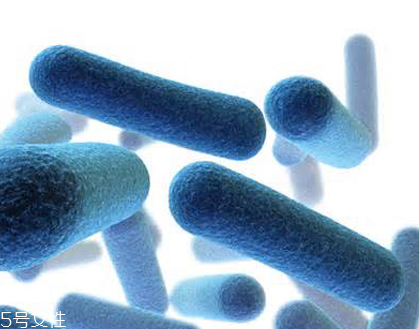 蝦青素是怎么提取的？過(guò)程很復(fù)雜