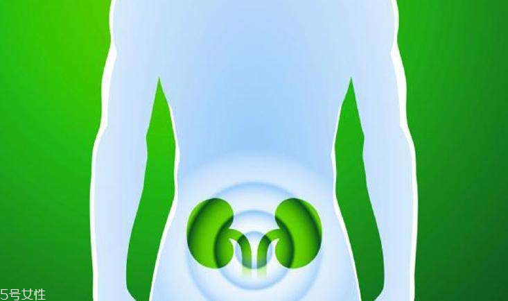 怎樣預防腎病的發(fā)生 護腎飲食10要點