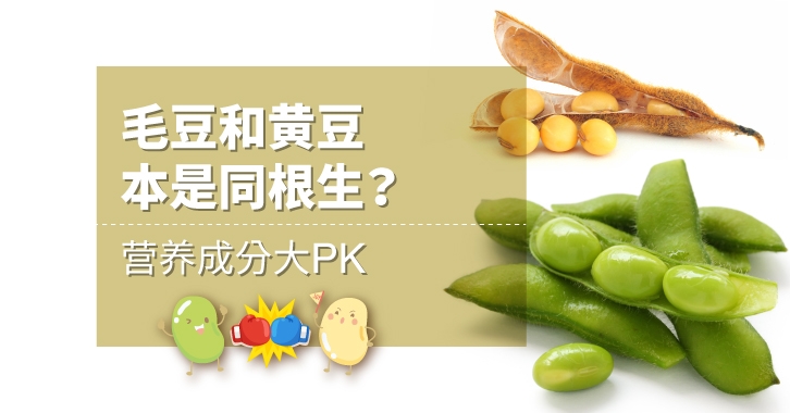 毛豆和黃豆一樣嗎 毛豆和黃豆哪個更營養(yǎng) 毛豆和黃豆一樣嗎 毛豆和黃豆哪個更營養(yǎng)