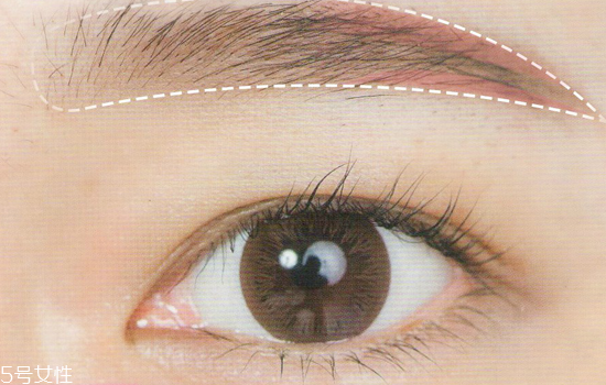 2022年最流行的眉形圖片 選對眉形瞬間變女神 2022年最流行的眉形圖片 選對眉形瞬間變女神