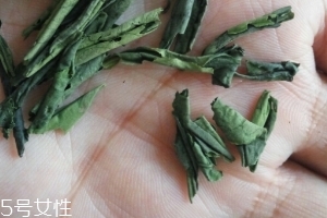 六安瓜片是紅茶還是綠茶？