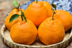 耙耙柑可以和牛奶一起吃嗎？耙耙柑和牛奶一起吃的壞處