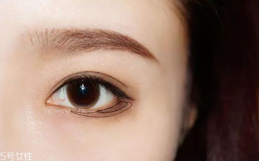 戴眼鏡需要畫臥蠶嗎 戴眼鏡化妝的具體步驟 戴眼鏡需要畫臥蠶嗎 戴眼鏡化妝的具體步驟