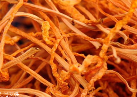 蟲(chóng)草花發(fā)霉了還能吃嗎 蟲(chóng)草花如何防止發(fā)霉 蟲(chóng)草花發(fā)霉了還能吃嗎 蟲(chóng)草花如何防止發(fā)霉