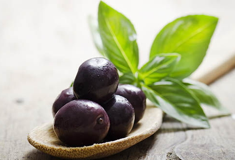 橄欖發(fā)霉可以吃嗎 橄欖發(fā)白怎么回事 橄欖發(fā)霉可以吃嗎 橄欖發(fā)白怎么回事