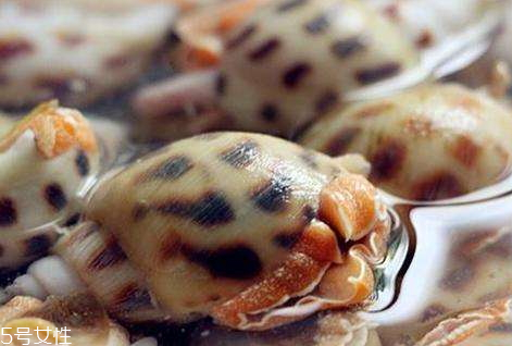 花螺不能和什么一起吃 花螺和什么相克 花螺不能和什么一起吃 花螺和什么相克